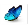 thumbnail image 1 of Designart ' Close Up Of Vibrant Blue Butterfly On White ' Modern Canvas Wall Art Print, 1 of 4