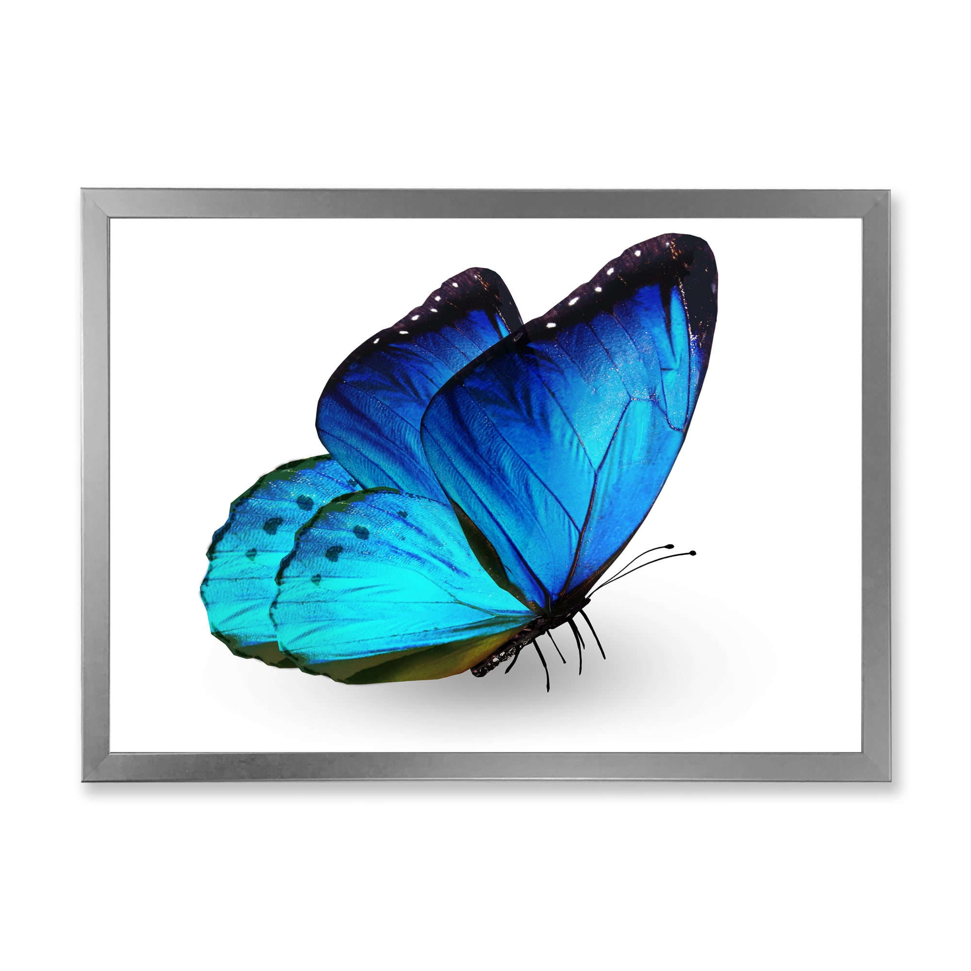 Designart 'Close Up Of Vibrant Blue Butterfly On White' Modern Framed Art Print
