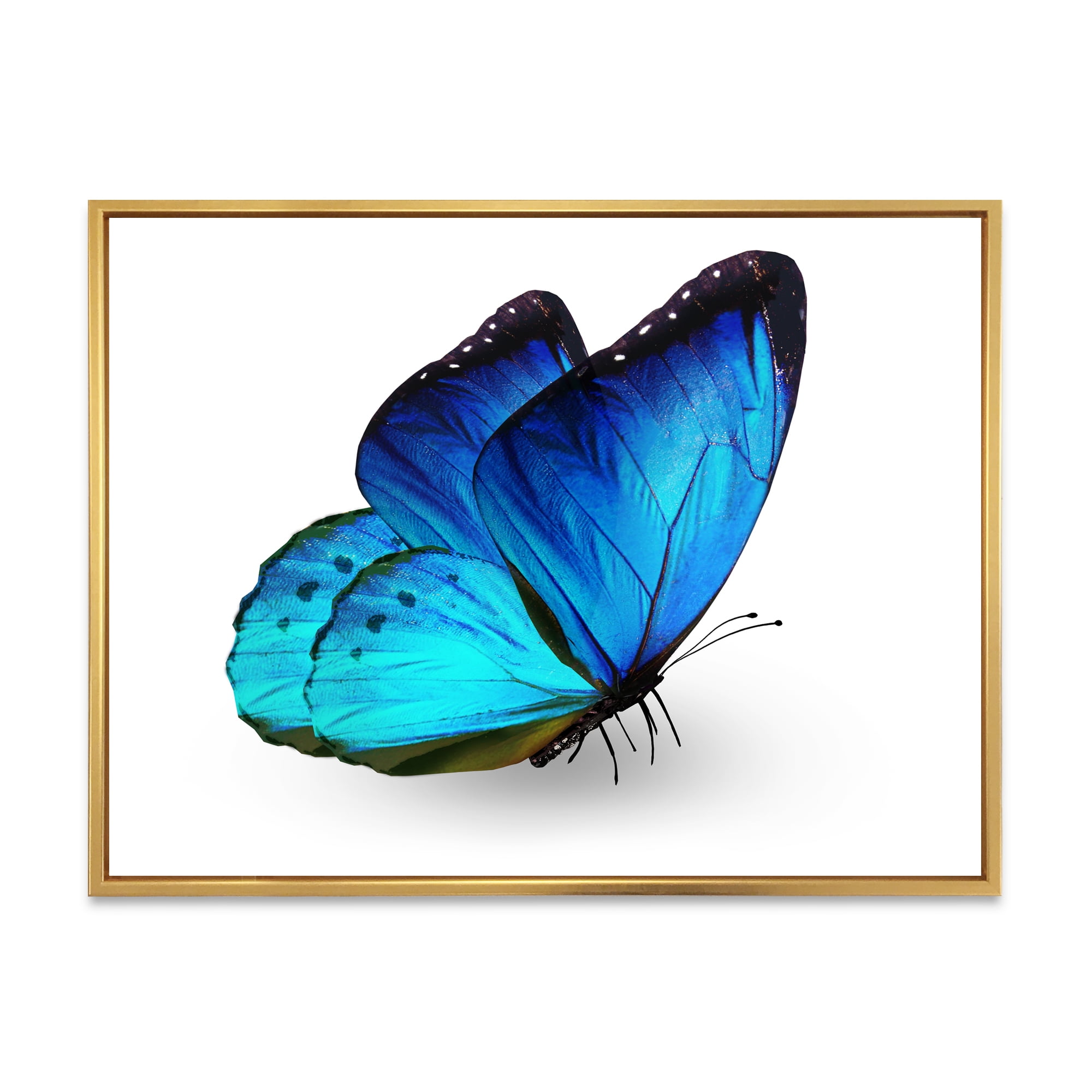 Designart 'Close Up Of Vibrant Blue Butterfly On White' Modern Framed Canvas Wall Art Print