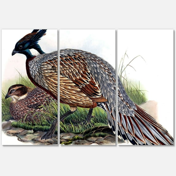 Designart ' Close Up Of Vintage Countryside Birds ' Farmhouse Canvas Wall Art Print
