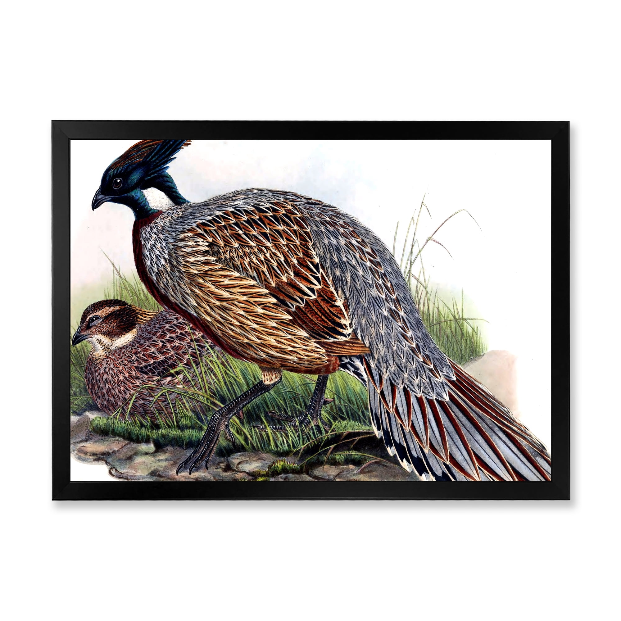 Designart 'Close Up Of Vintage Countryside Birds' Farmhouse Framed Art Print