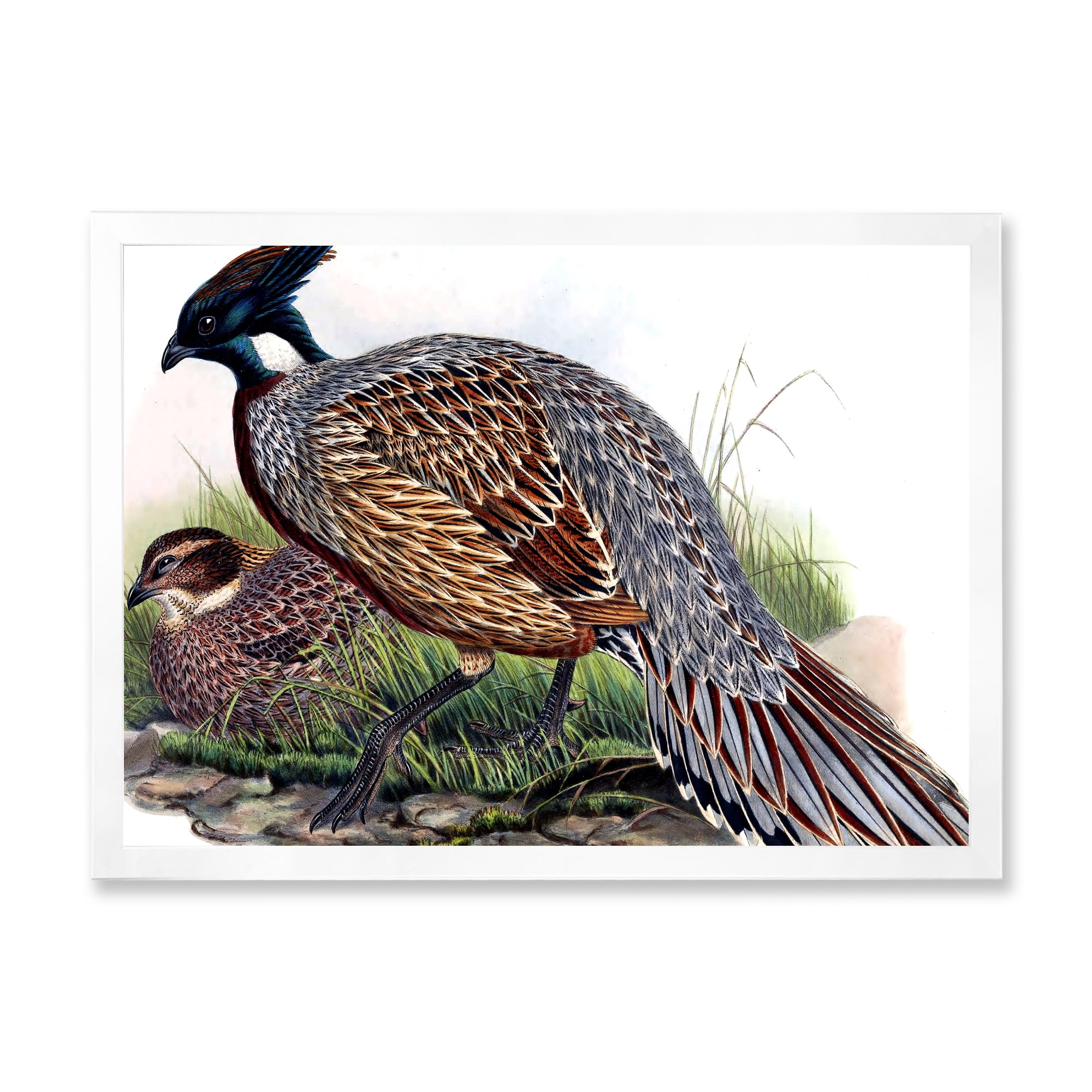 Designart 'Close Up Of Vintage Countryside Birds' Farmhouse Framed Art Print