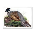 thumbnail image 1 of Designart 'Close Up Of Vintage Countryside Birds' Farmhouse Framed Art Print, 1 of 4