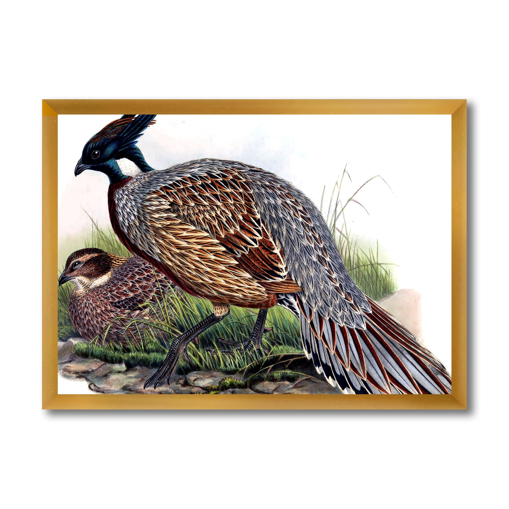 Designart 'Close Up Of Vintage Countryside Birds' Farmhouse Framed Art Print