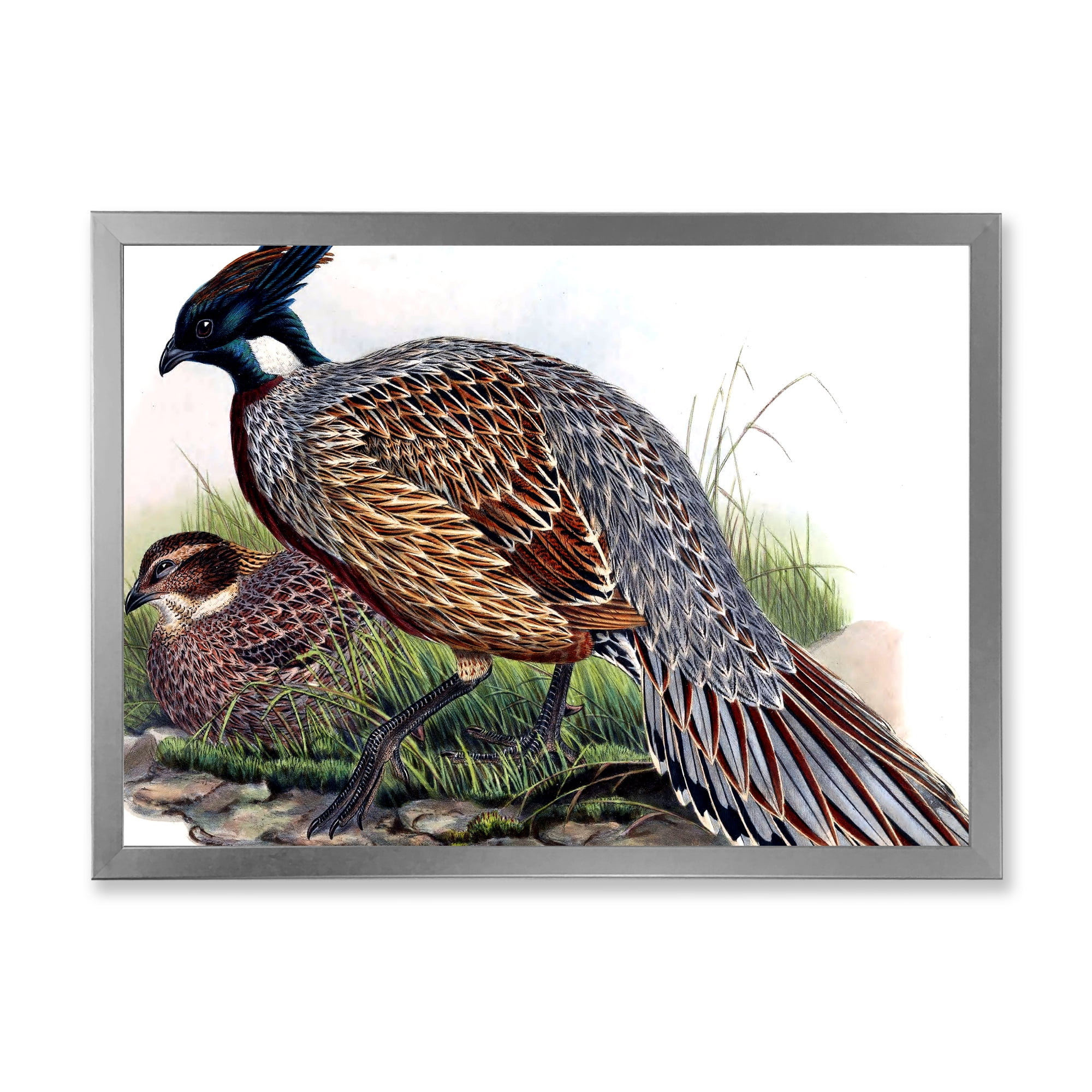 Designart 'Close Up Of Vintage Countryside Birds' Farmhouse Framed Art Print