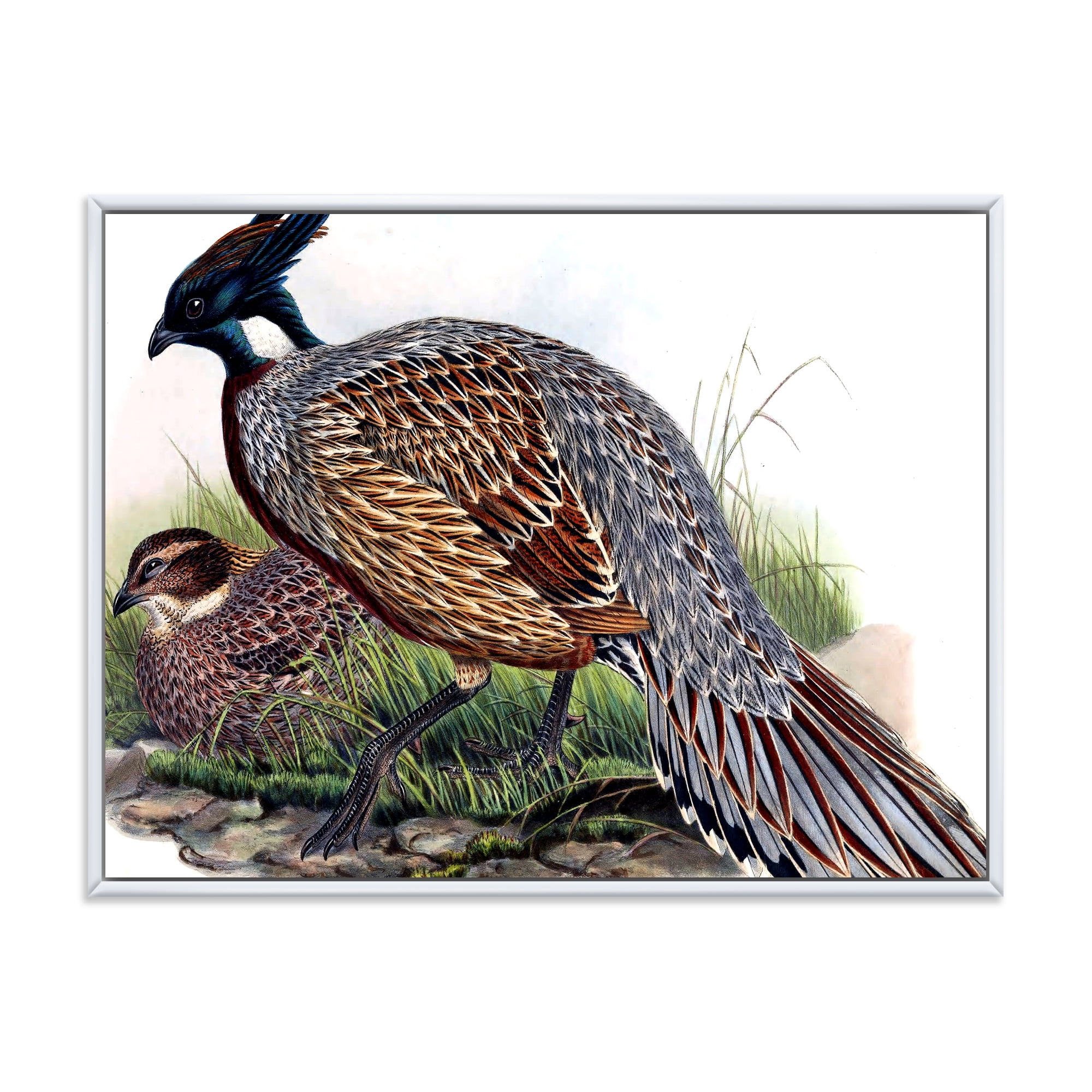 Designart 'Close Up Of Vintage Countryside Birds' Farmhouse Framed Canvas Wall Art Print