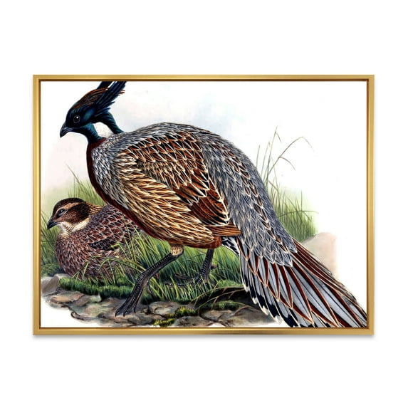 Designart 'Close Up Of Vintage Countryside Birds' Farmhouse Framed Canvas Wall Art Print