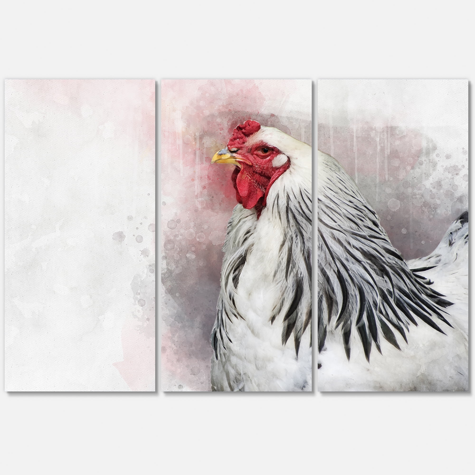 Designart ' Close Up Of White Columbia Brahma Rooster Bird ' Traditional Canvas Wall Art Print