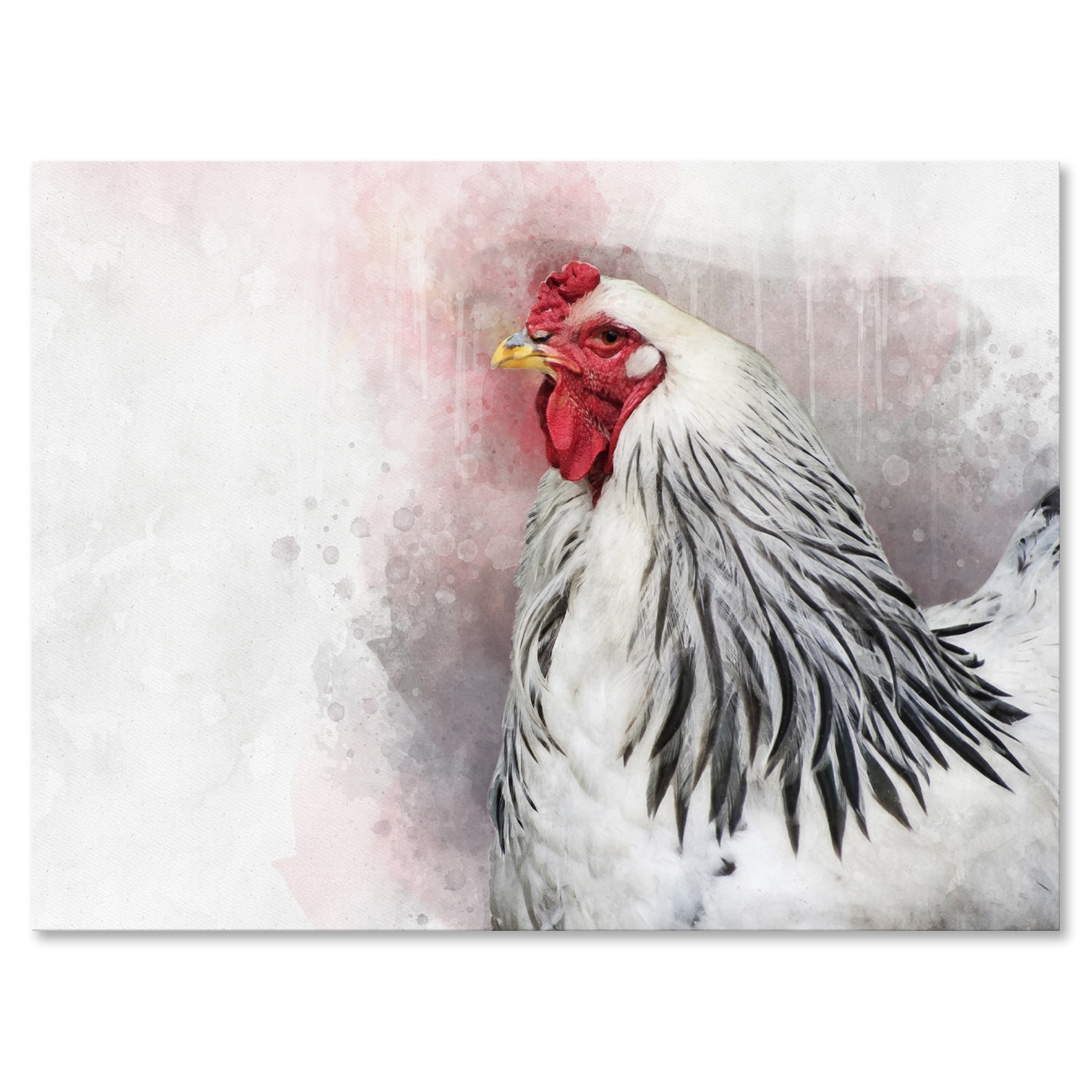 Designart ' Close Up Of White Columbia Brahma Rooster Bird ' Traditional Canvas Wall Art Print