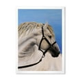 thumbnail image 1 of Designart 'Close Up Of White Horse In The Furrow' Farmhouse Framed Art Print, 1 of 4