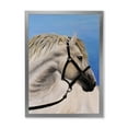 thumbnail image 1 of Designart 'Close Up Of White Horse In The Furrow' Farmhouse Framed Art Print, 1 of 1
