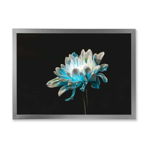 Designart 'Close Up Of White and Pure Blue Daisy Flower I' Traditional Framed Art Print