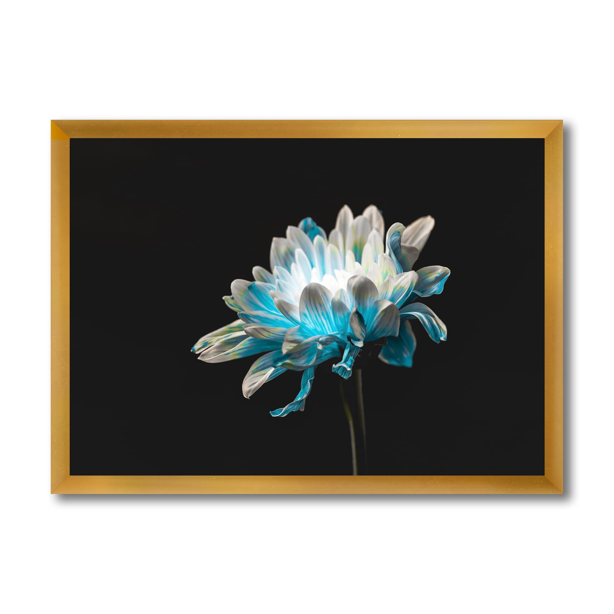 Designart 'Close Up Of White and Pure Blue Daisy Flower I' Traditional Framed Art Print
