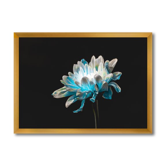 Designart 'Close Up Of White and Pure Blue Daisy Flower I' Traditional Framed Art Print