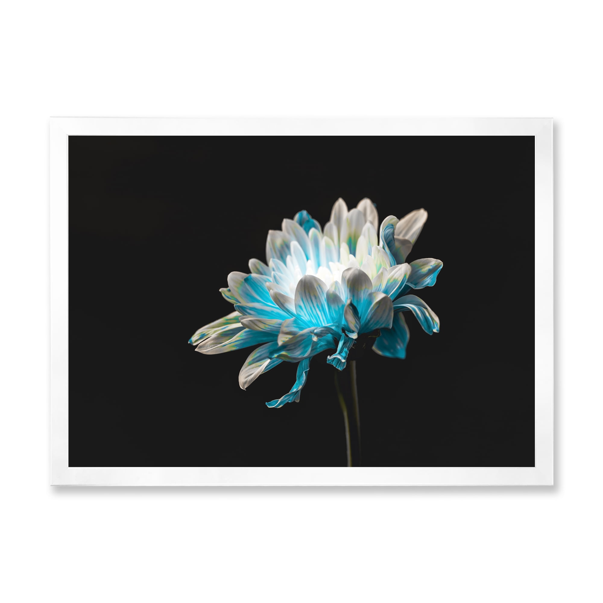 Designart 'Close Up Of White and Pure Blue Daisy Flower I' Traditional Framed Art Print