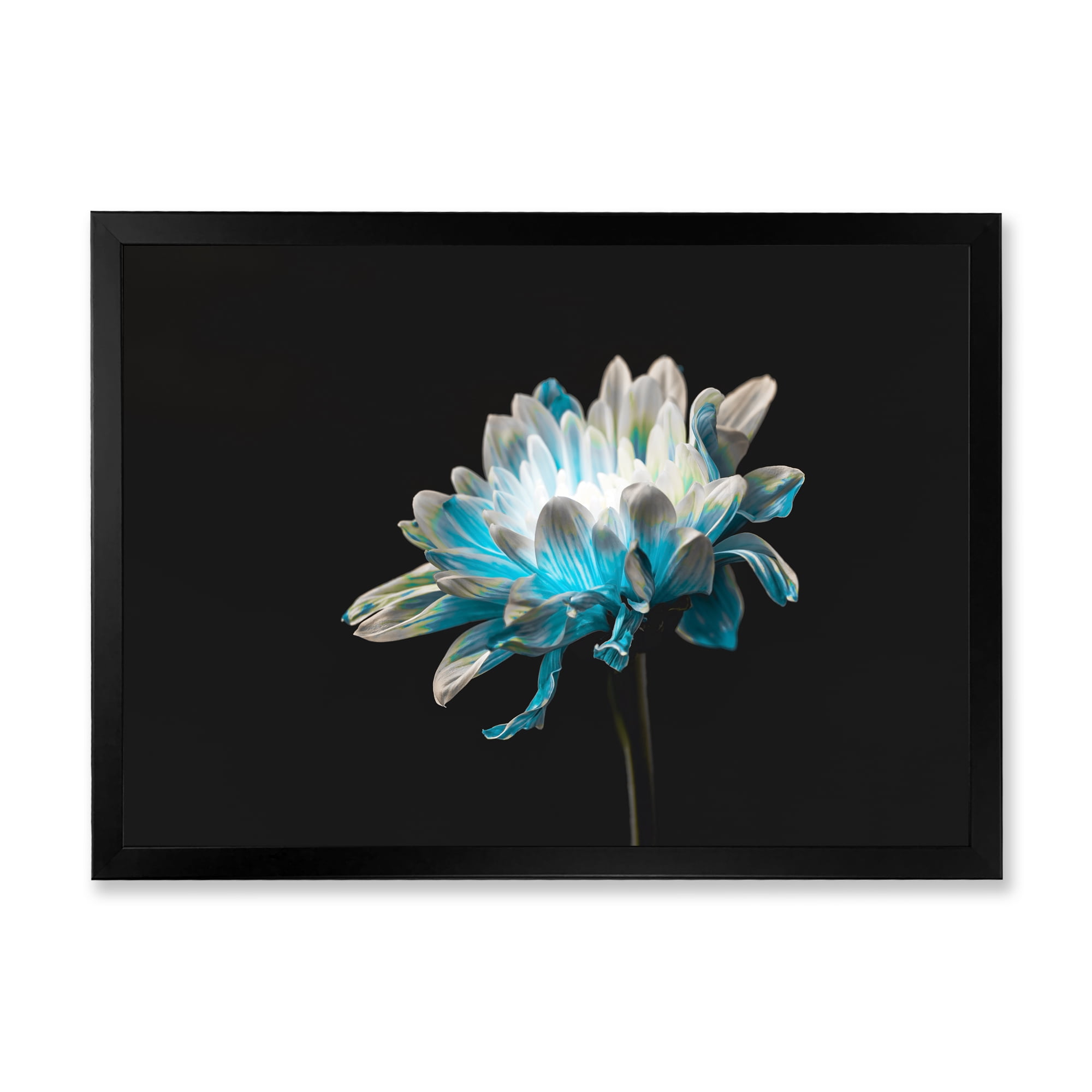 Designart 'Close Up Of White and Pure Blue Daisy Flower I' Traditional Framed Art Print