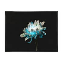 Designart 'Close Up Of White and Pure Blue Daisy Flower I' Traditional Framed Canvas Wall Art Print