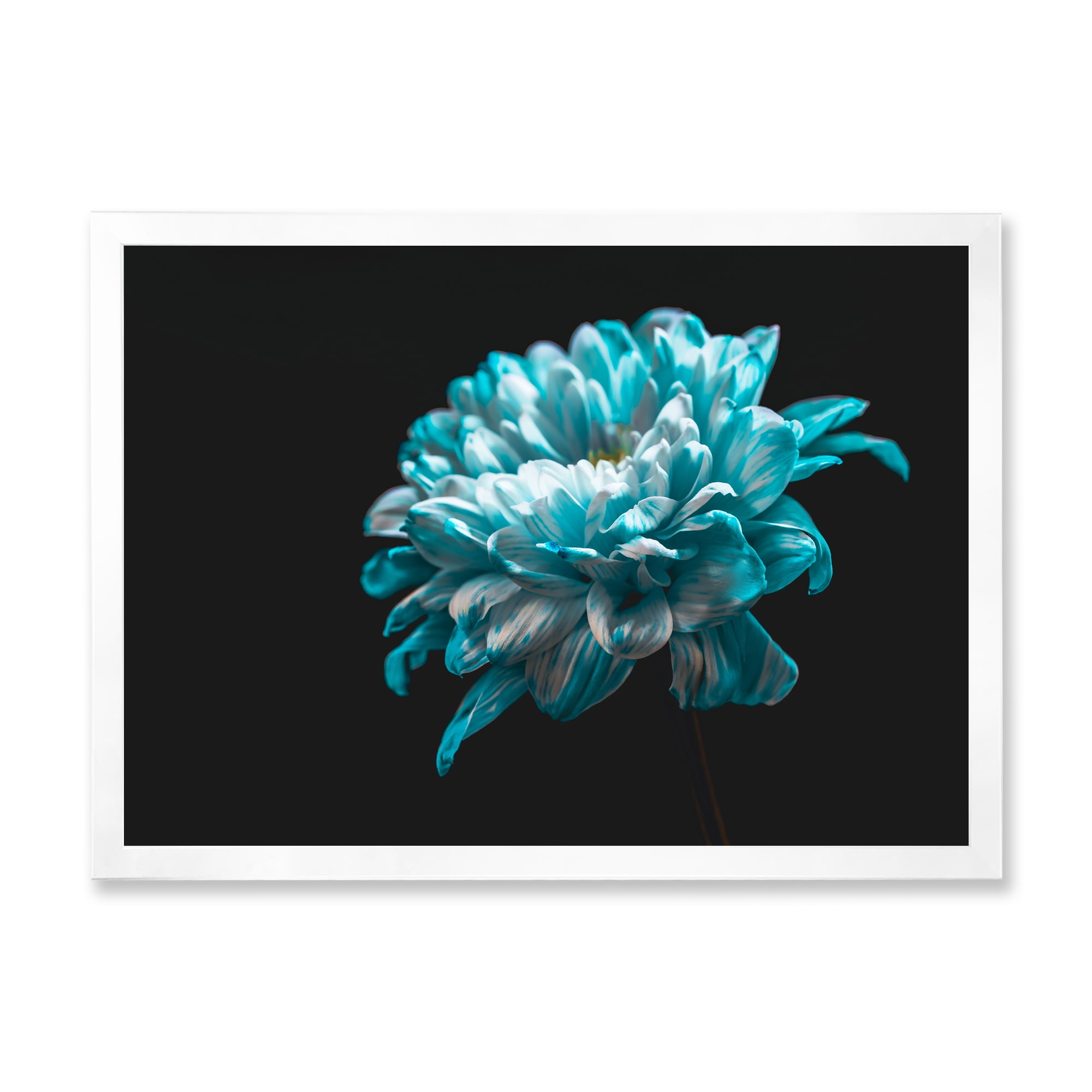 Designart 'Close Up Of White and Pure Blue Daisy Flower II' Traditional Framed Art Print