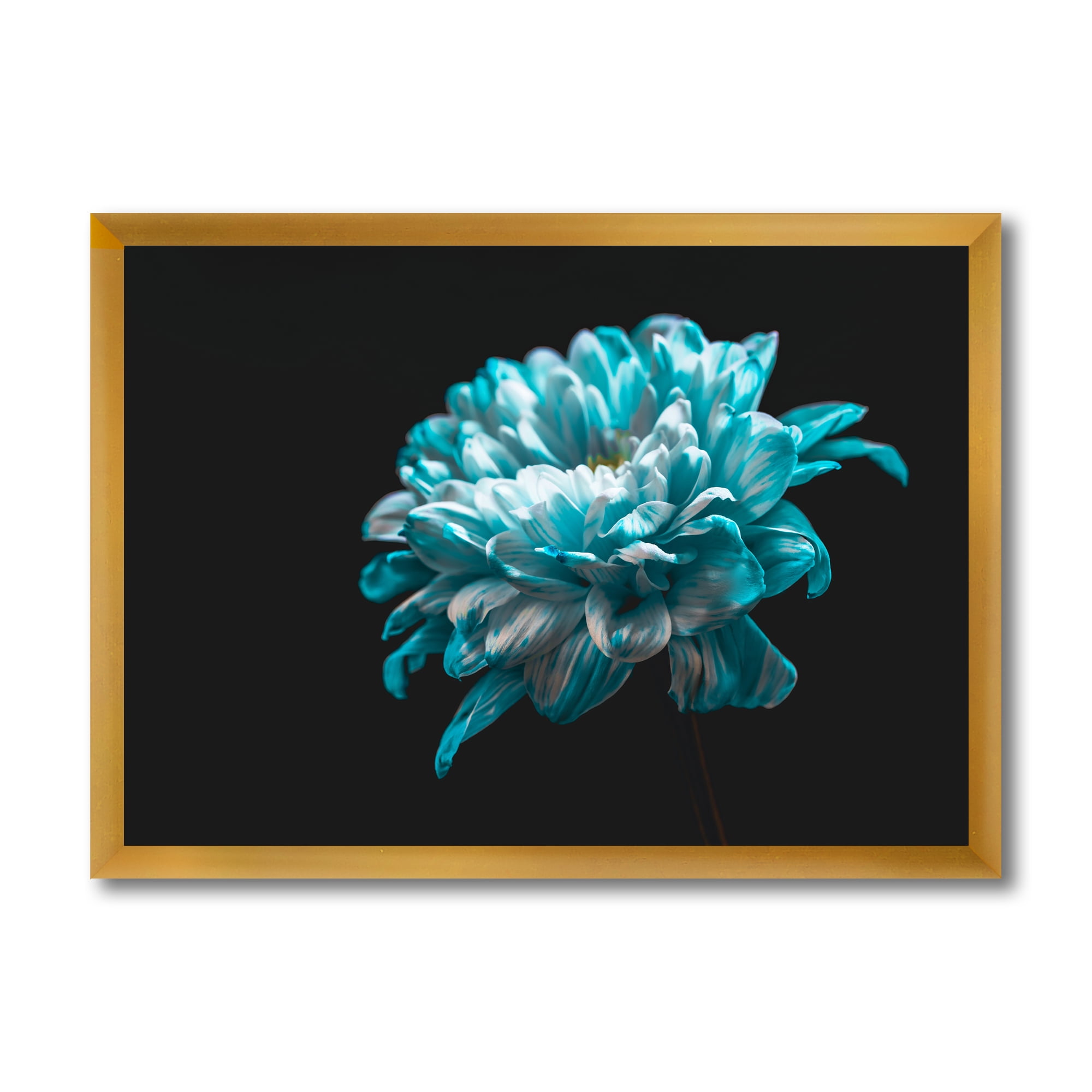 Designart 'Close Up Of White and Pure Blue Daisy Flower II' Traditional Framed Art Print