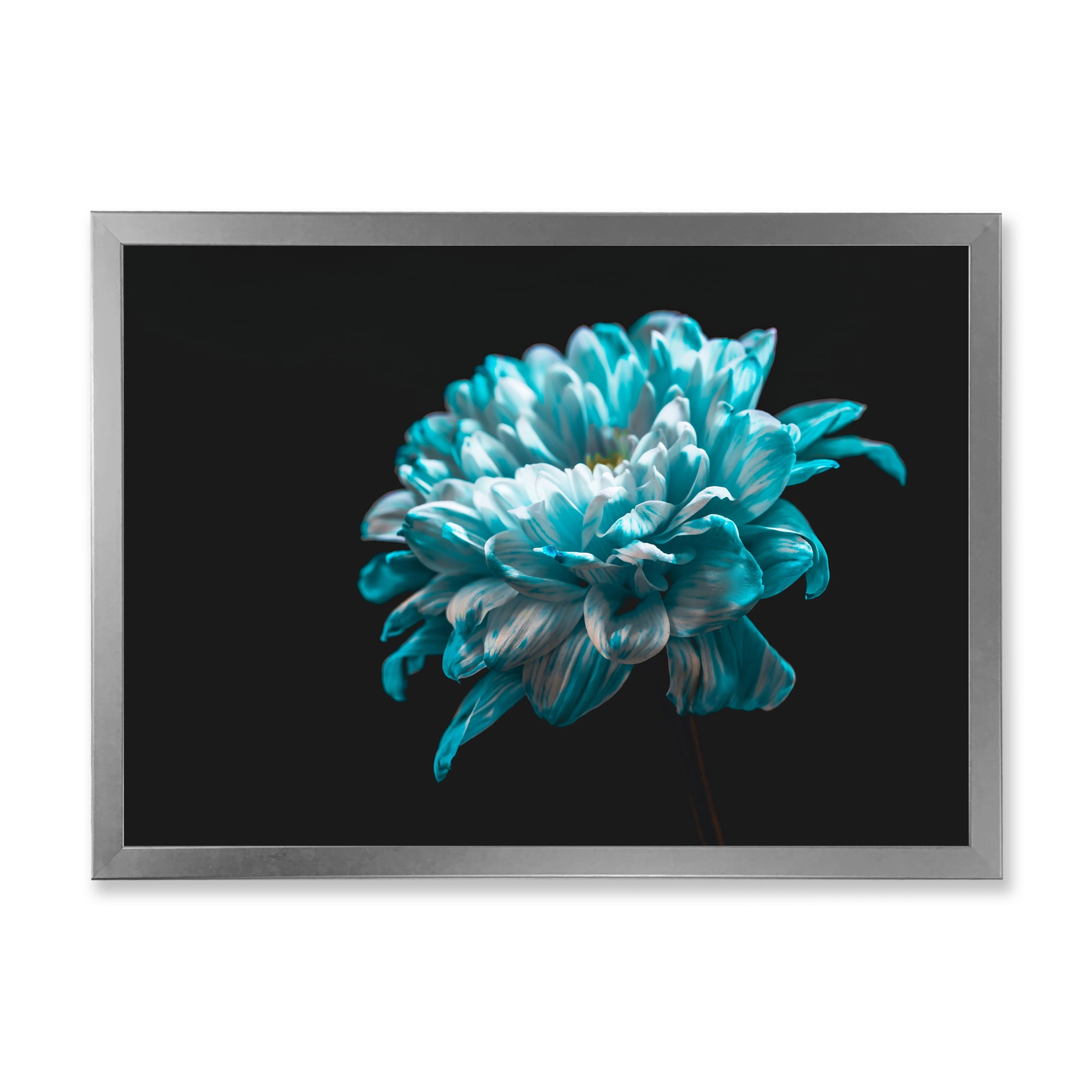 Designart 'Close Up Of White and Pure Blue Daisy Flower II' Traditional Framed Art Print