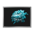 thumbnail image 1 of Designart 'Close Up Of White and Pure Blue Daisy Flower II' Traditional Framed Art Print, 1 of 4