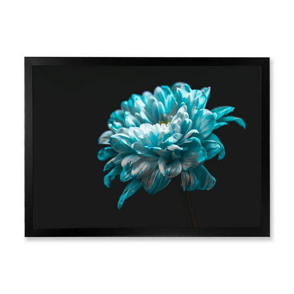 Designart 'Close Up Of White and Pure Blue Daisy Flower II' Traditional Framed Art Print