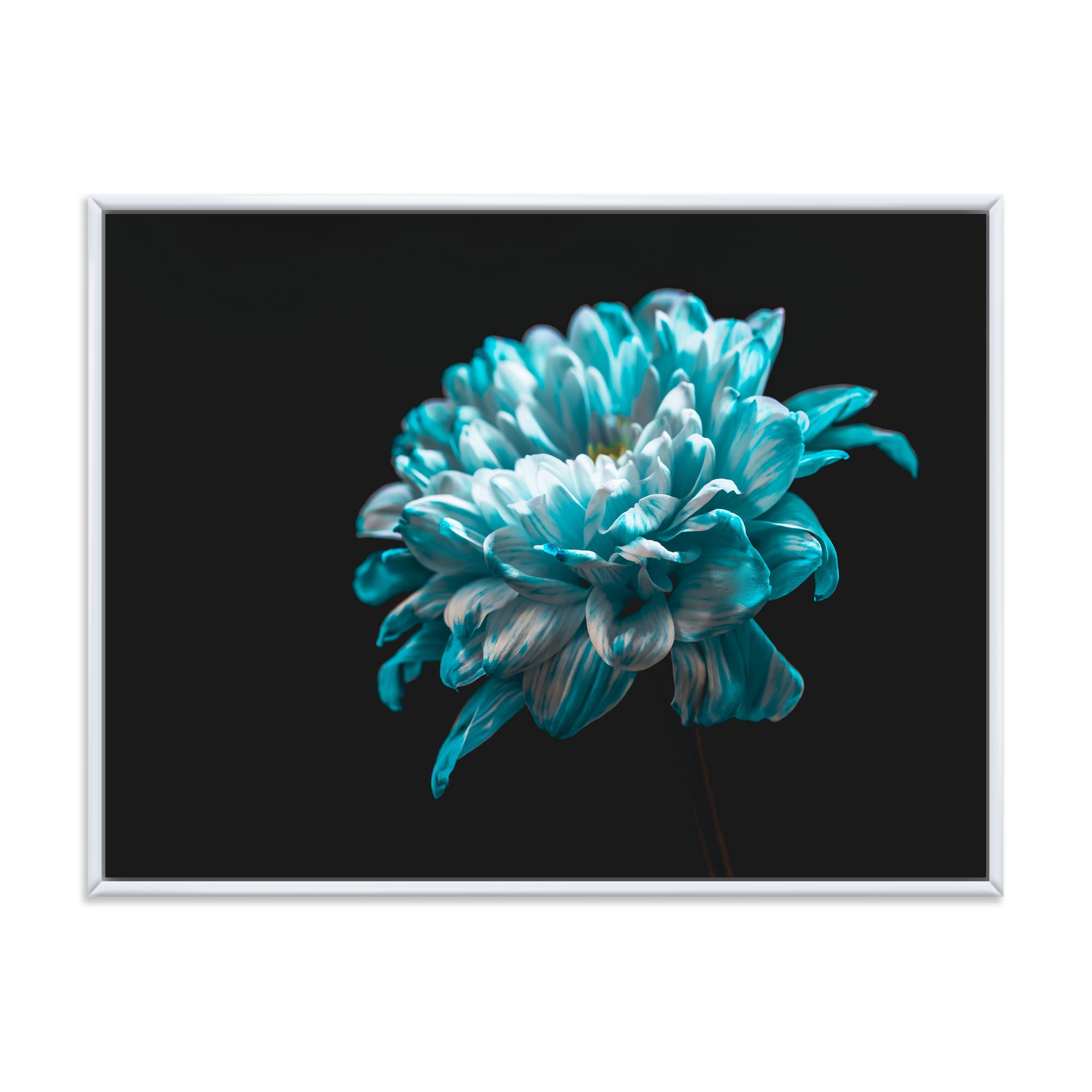 Designart 'Close Up Of White and Pure Blue Daisy Flower II' Traditional Framed Canvas Wall Art Print