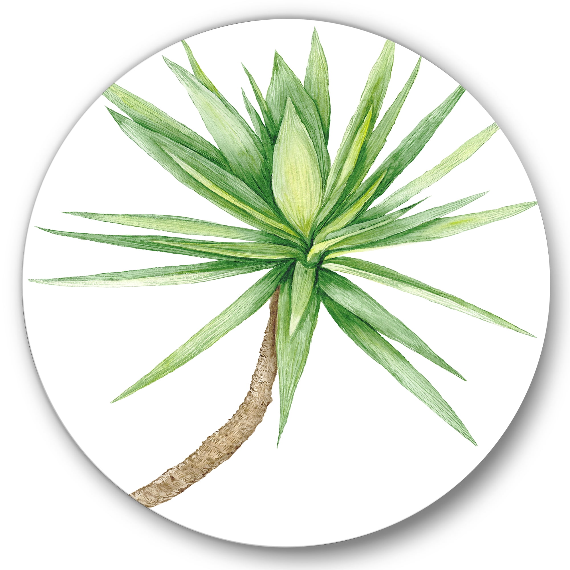 Designart 'Close Up Of Yucca Tree' Traditional Circle Metal Wall Art 36x36 - Disc of 36