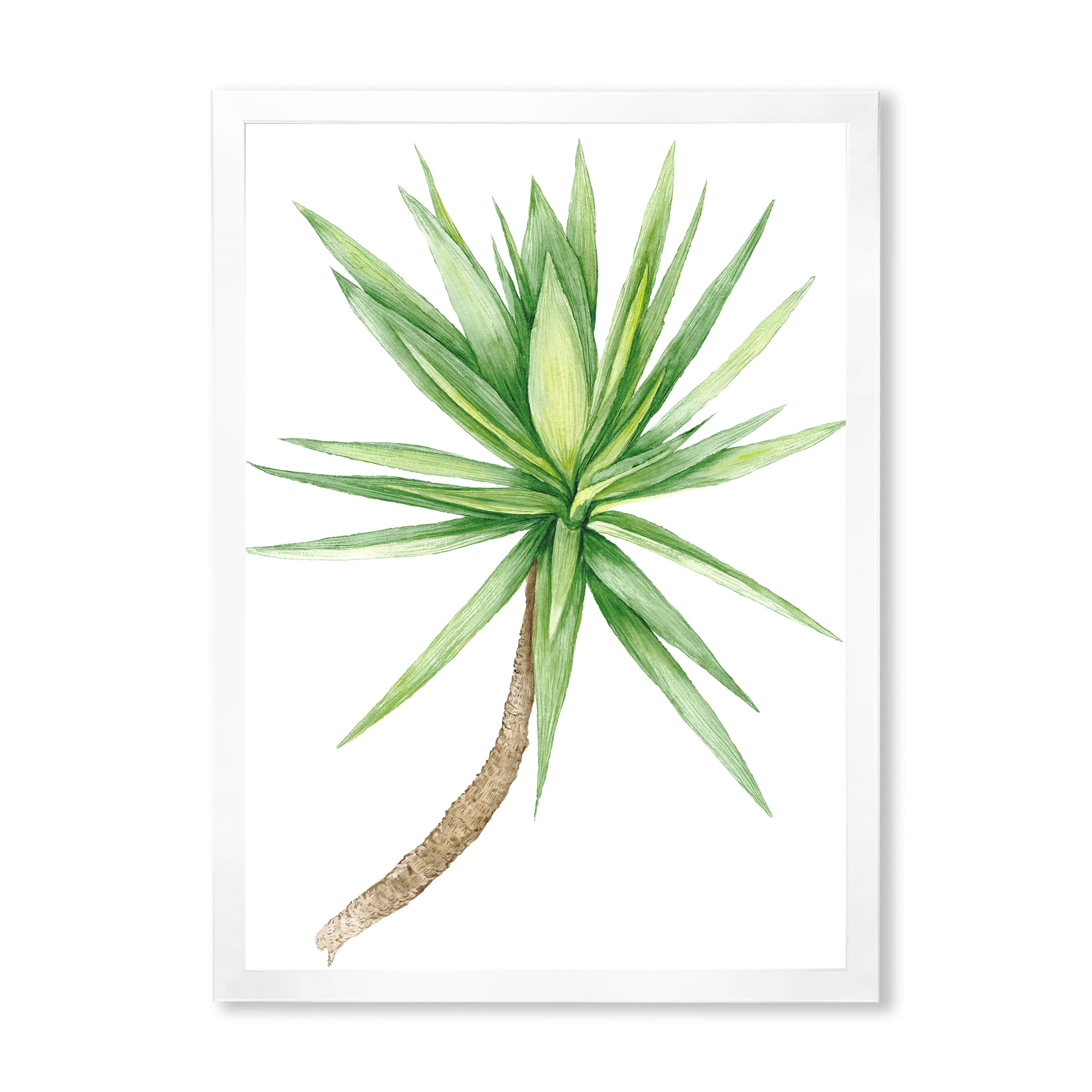 Designart 'Close Up Of Yucca Tree' Traditional Framed Art Print