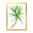 thumbnail image 1 of Designart 'Close Up Of Yucca Tree' Traditional Framed Art Print, 1 of 1