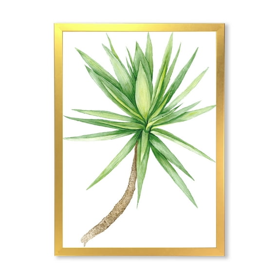 Designart 'Close Up Of Yucca Tree' Traditional Framed Art Print