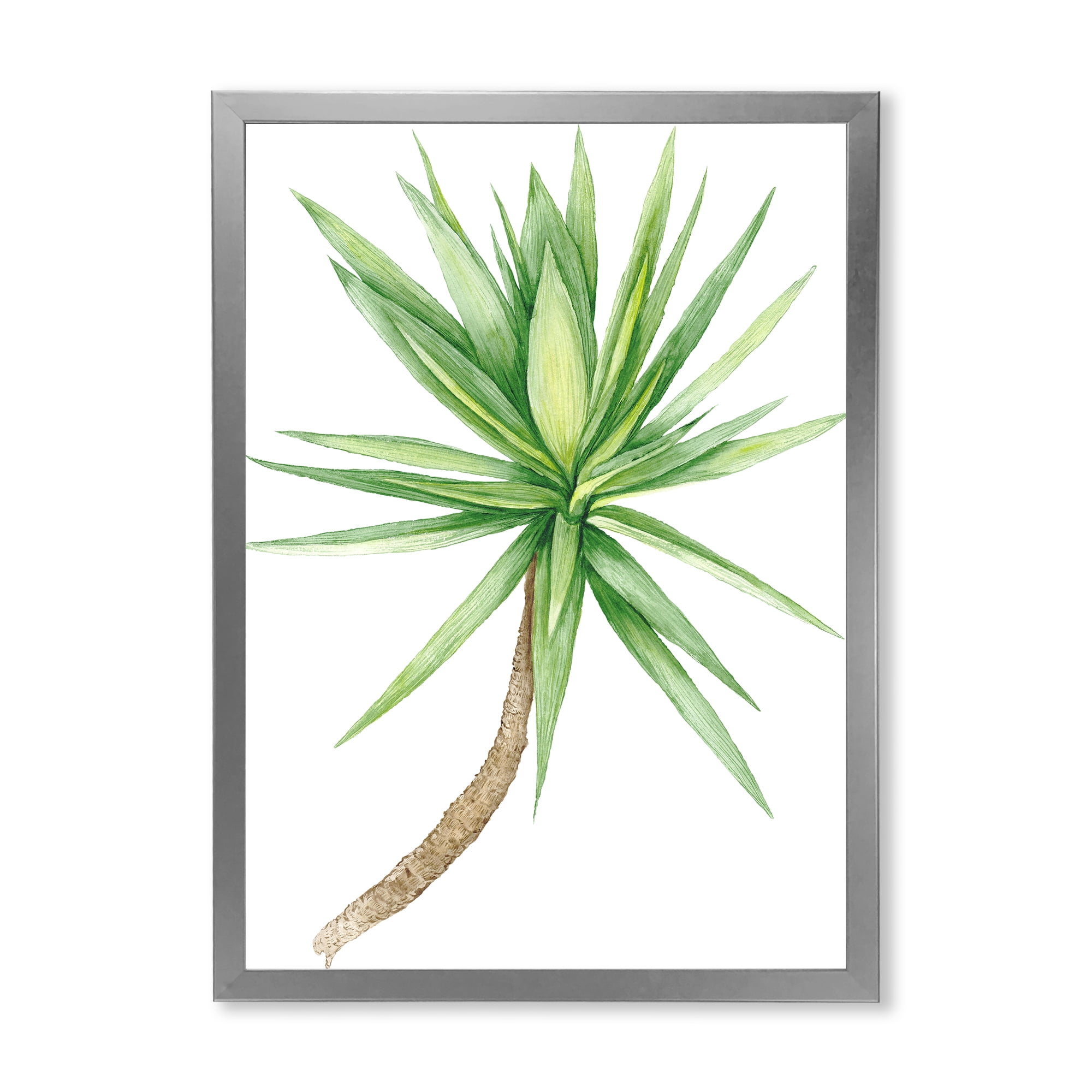 Designart 'Close Up Of Yucca Tree' Traditional Framed Art Print