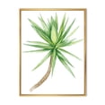 thumbnail image 1 of Designart 'Close Up Of Yucca Tree' Traditional Framed Canvas Wall Art Print, 1 of 5