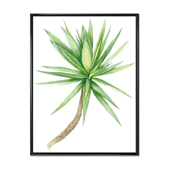 Designart 'Close Up Of Yucca Tree' Traditional Framed Canvas Wall Art Print