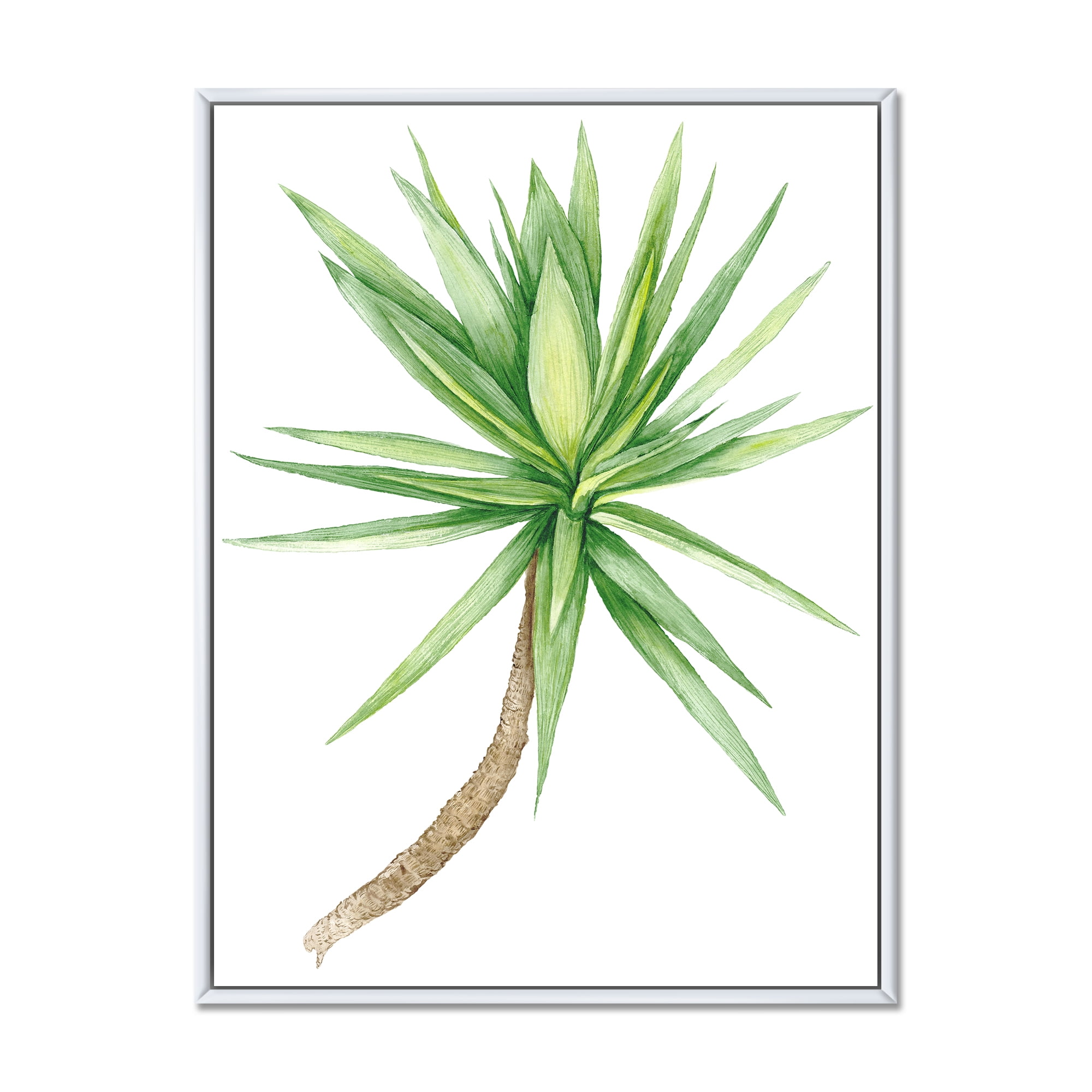 Designart 'Close Up Of Yucca Tree' Traditional Framed Canvas Wall Art Print