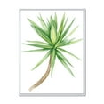 thumbnail image 1 of Designart 'Close Up Of Yucca Tree' Traditional Framed Canvas Wall Art Print, 1 of 5