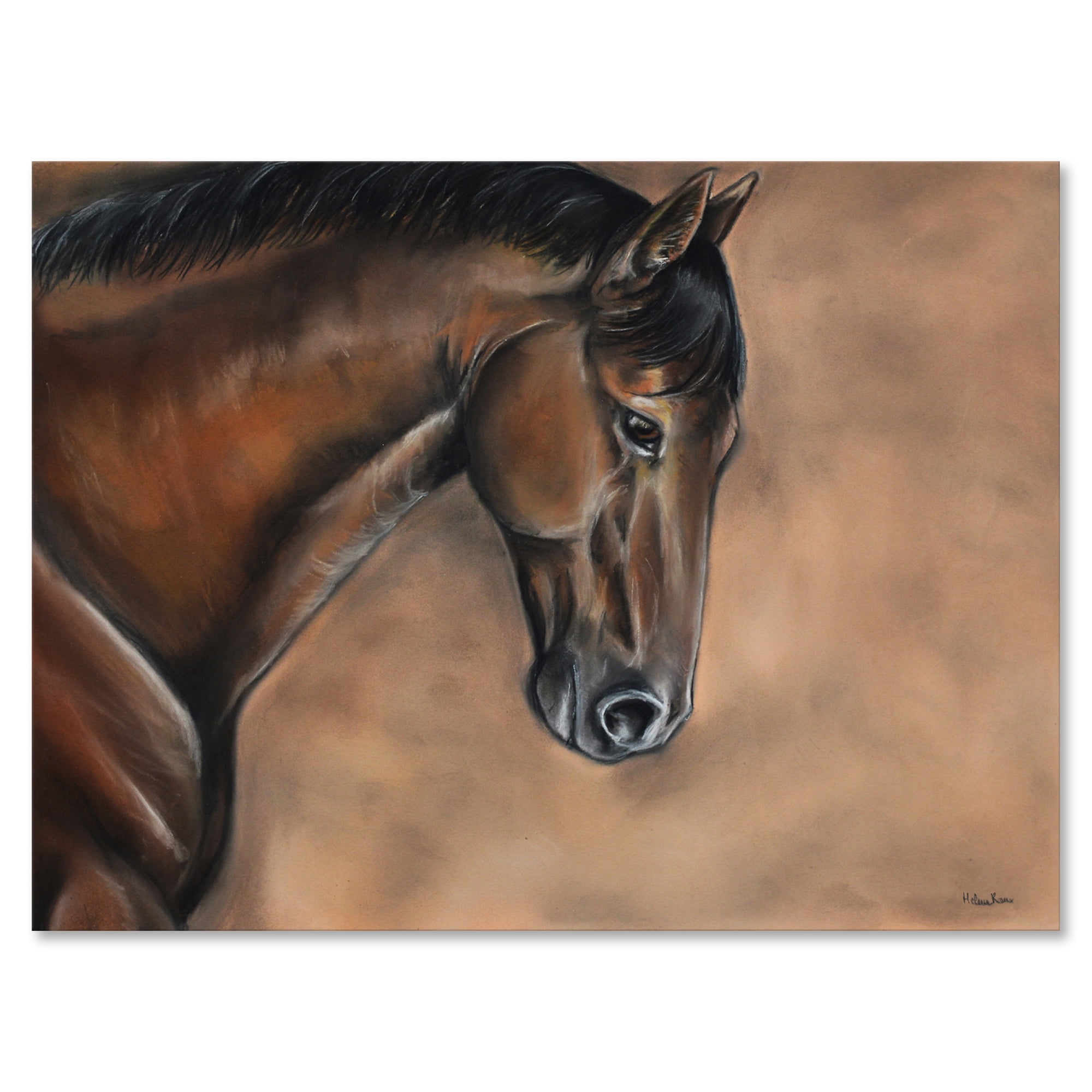 Designart ' Close Up Portrait Of A Brown Bay Horse ' Farmhouse Canvas Wall Art Print