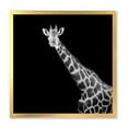 thumbnail image 1 of Designart 'Close Up Portrait Of A Giraffe On Black I' Farmhouse Framed Art Print, 1 of 4