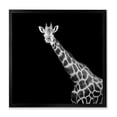 thumbnail image 1 of Designart 'Close Up Portrait Of A Giraffe On Black I' Farmhouse Framed Art Print, 1 of 4