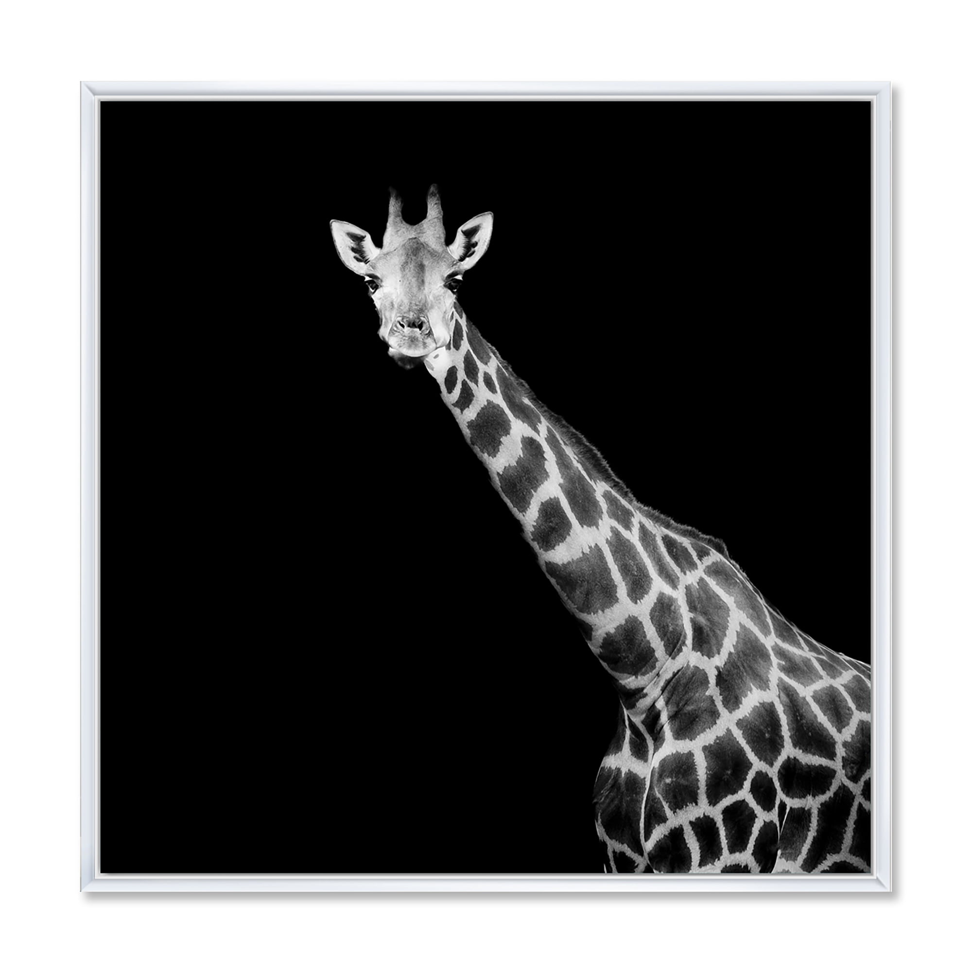 Designart 'Close Up Portrait Of A Giraffe On Black I' Farmhouse Framed Canvas Wall Art Print