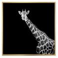 thumbnail image 1 of Designart 'Close Up Portrait Of A Giraffe On Black I' Farmhouse Framed Canvas Wall Art Print, 1 of 5