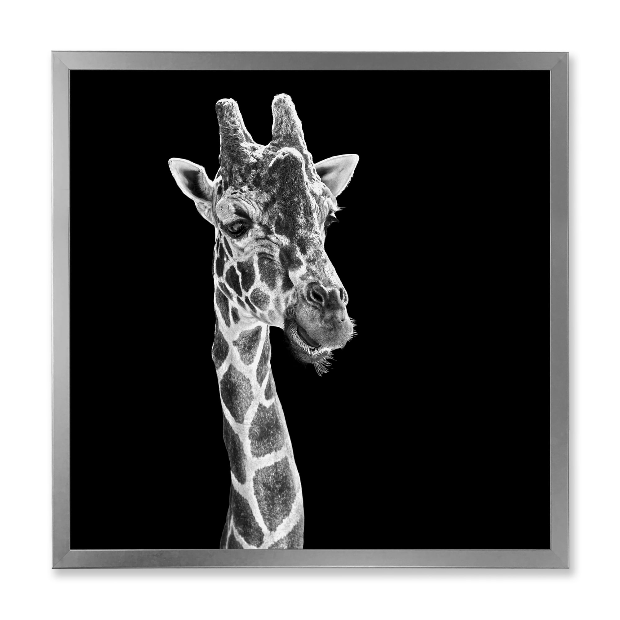Designart 'Close Up Portrait Of A Giraffe On Black II' Farmhouse Framed Art Print