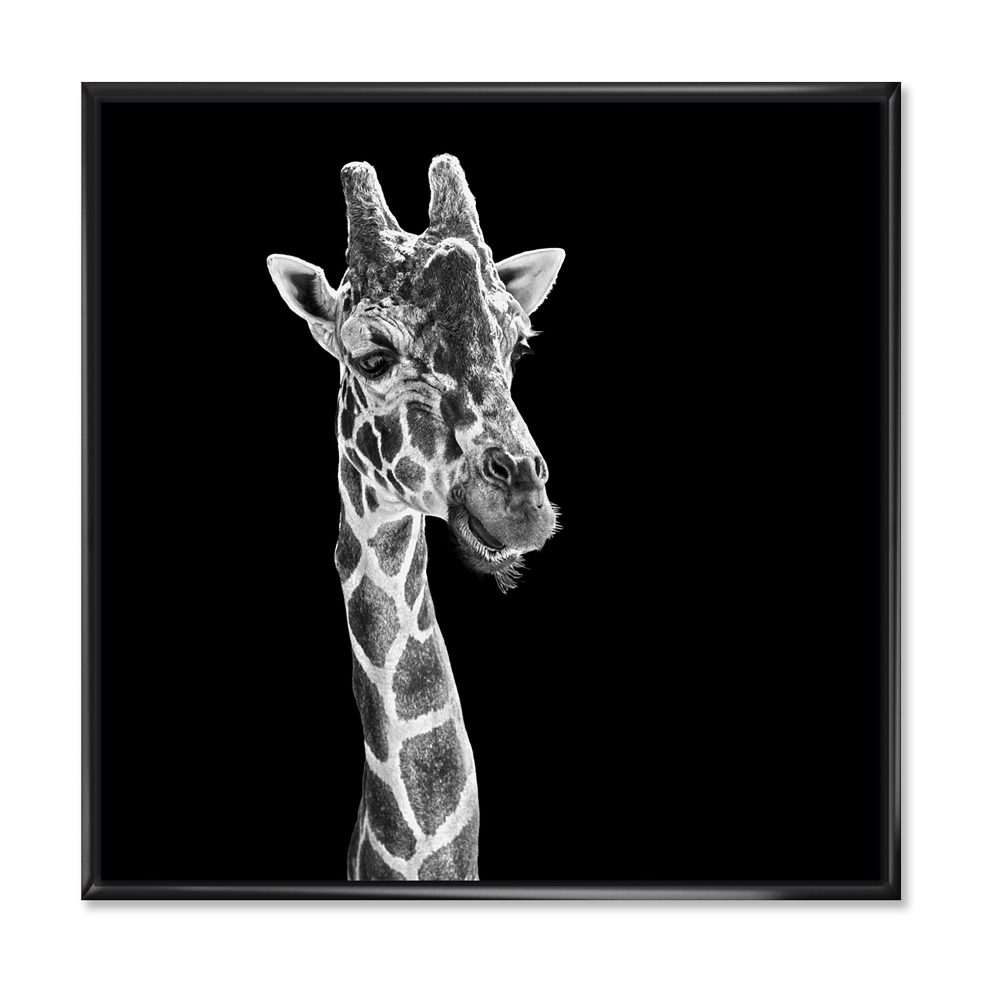 Designart 'Close Up Portrait Of A Giraffe On Black II' Farmhouse Framed Canvas Wall Art Print