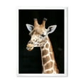 thumbnail image 1 of Designart 'Close Up Portrait Of A Giraffe On Black III' Farmhouse Framed Art Print, 1 of 4