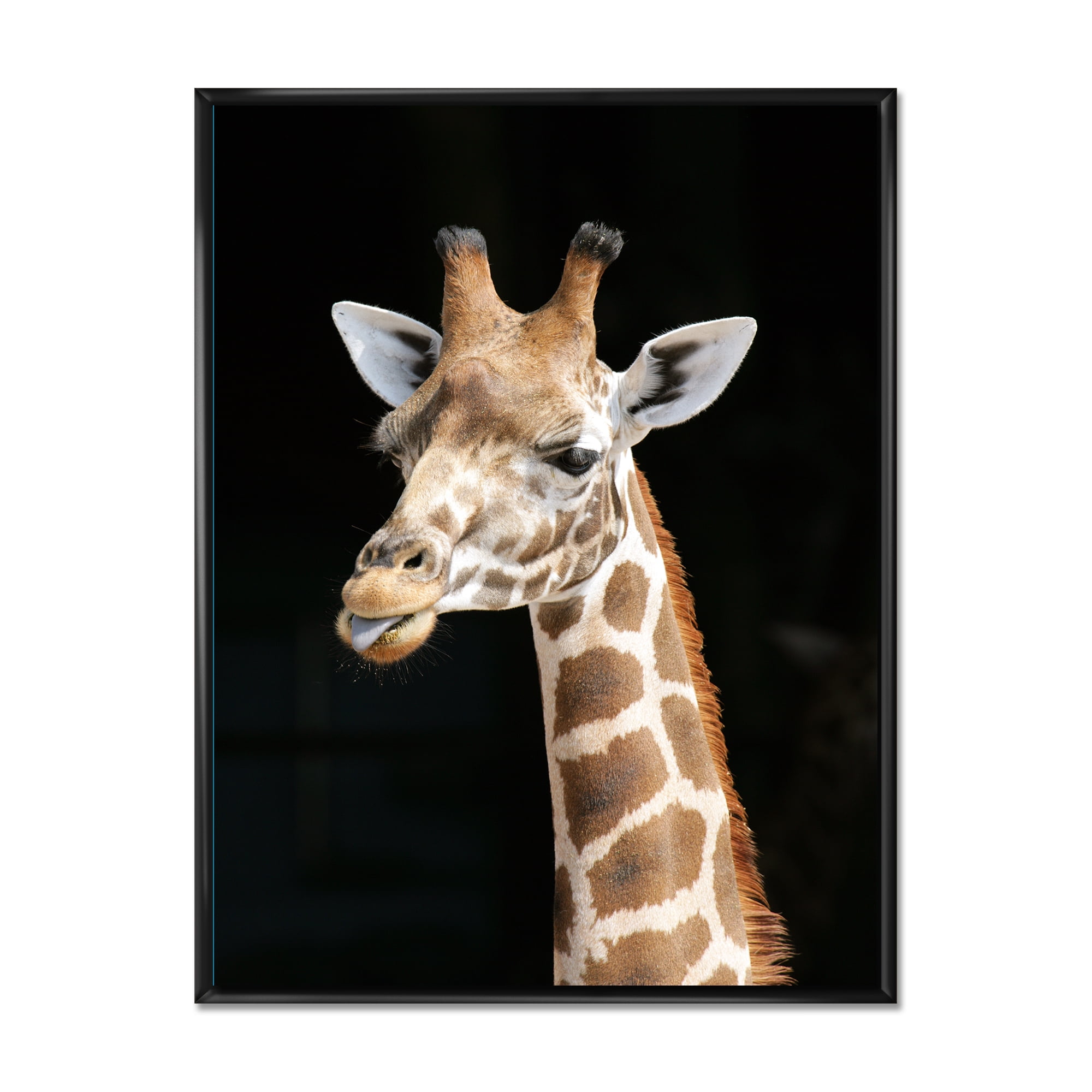 Designart 'Close Up Portrait Of A Giraffe On Black III' Farmhouse Framed Canvas Wall Art Print