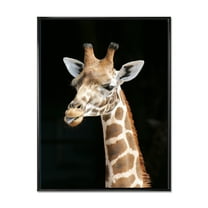 Designart 'Close Up Portrait Of A Giraffe On Black III' Farmhouse Framed Canvas Wall Art Print