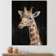 thumbnail image 1 of Designart 'Close Up Portrait Of A Giraffe On Black III' Farmhouse Print on Natural Pine Wood, 1 of 5
