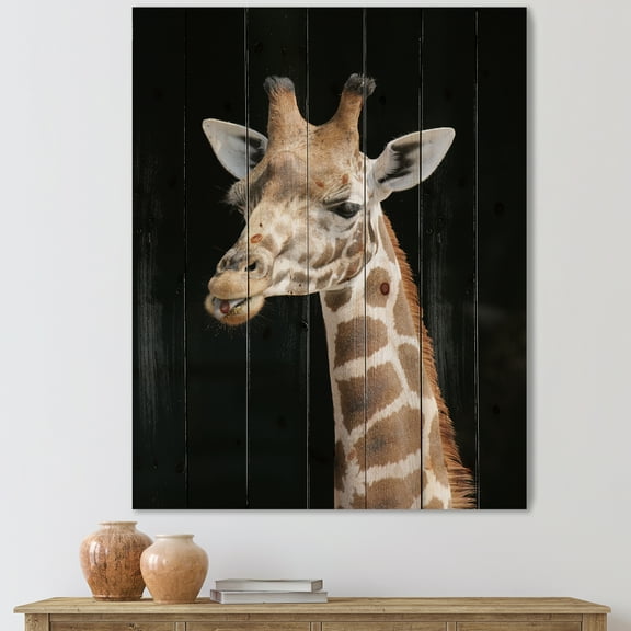 Designart 'Close Up Portrait Of A Giraffe On Black III' Farmhouse Print on Natural Pine Wood