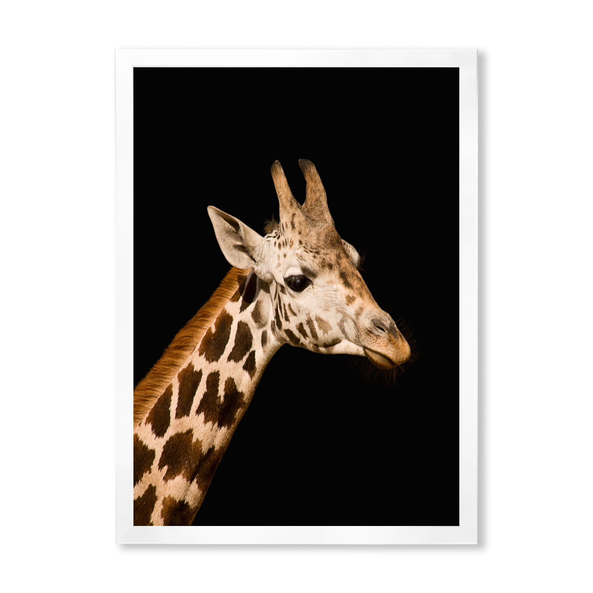 Designart 'Close Up Portrait Of A Giraffe On Black IV' Farmhouse Framed Art Print