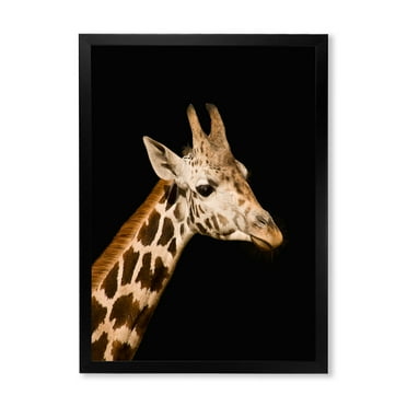 Designart 'Close Up Portrait Of A Giraffe On Black IV' Farmhouse Framed Art Print